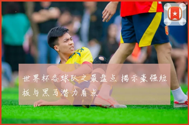 世界杯各球队之最盘点 揭示豪强短板与黑马潜力看点