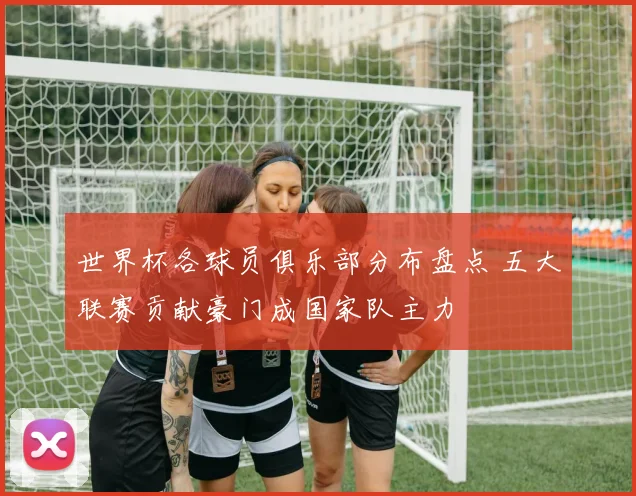 世界杯各球员俱乐部分布盘点 五大联赛贡献豪门成国家队主力