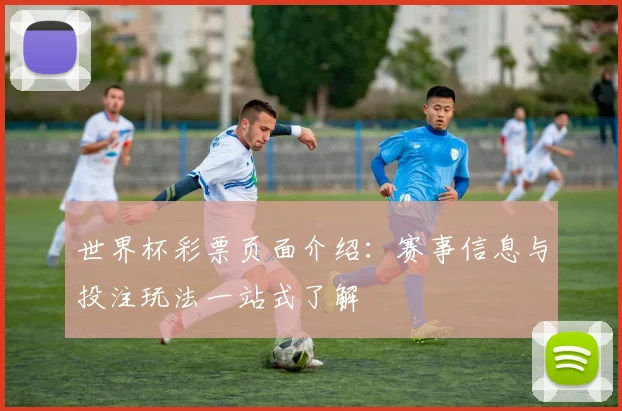 世界杯彩票页面介绍:赛事信息与投注玩法一站式了解