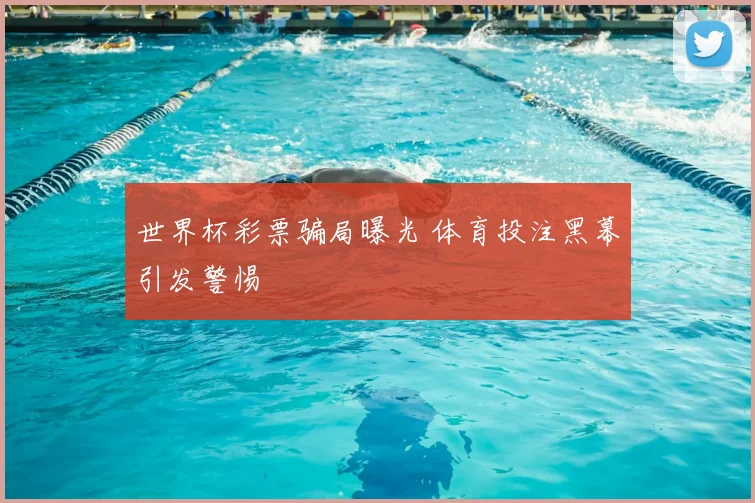 世界杯彩票骗局曝光 体育投注黑幕引发警惕