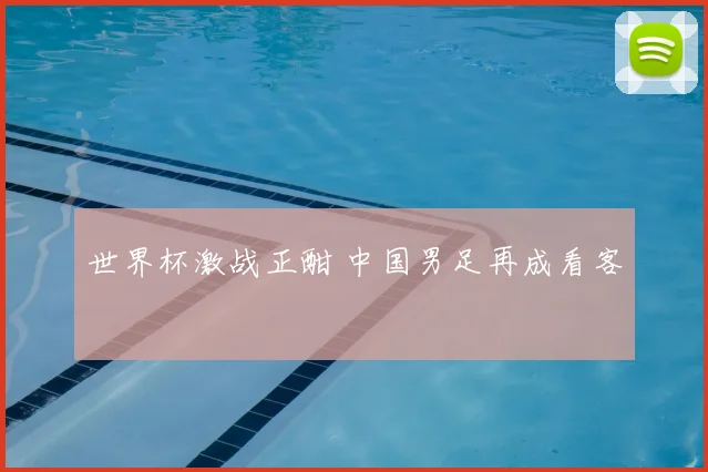 世界杯激战正酣 中国男足再成看客