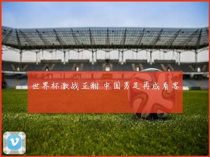 世界杯激战正酣 中国男足再成看客