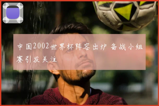 中国2002世界杯阵容出炉 备战小组赛引发关注
